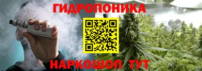 mdpv Ачхой-Мартан