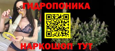 таблы Аша