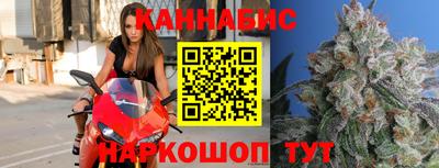mdpv Ачхой-Мартан