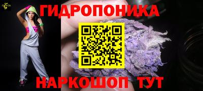 mdpv Ачхой-Мартан