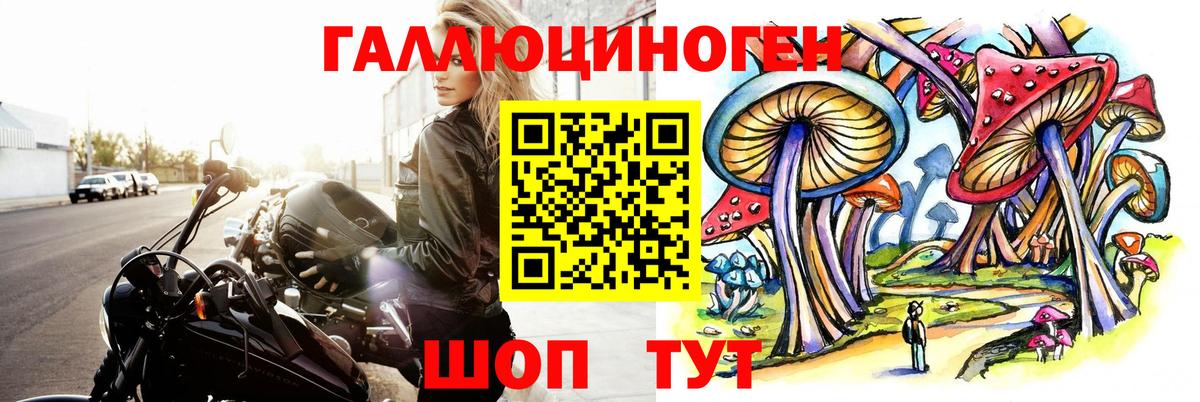 Соликамск  Галлюциногенные грибы Cubensis  Вход с VPN 